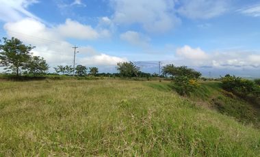 LOTE EN VENTA EN CERRITOS/PEREIRA