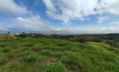 LOTE EN VENTA EN CERRITOS/PEREIRA