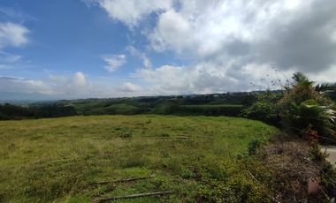 LOTE EN VENTA EN CERRITOS/PEREIRA