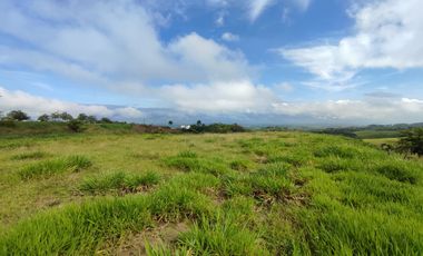 LOTE EN VENTA EN CERRITOS/PEREIRA