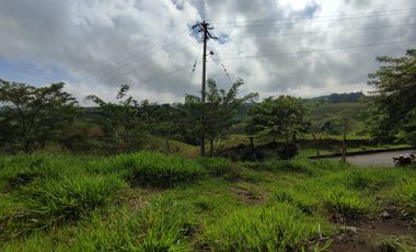 LOTE EN VENTA EN CERRITOS/PEREIRA