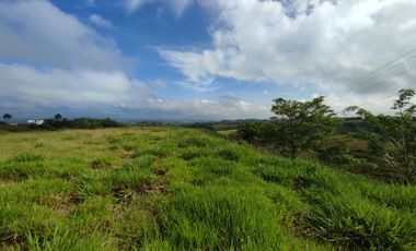 LOTE EN VENTA EN CERRITOS/PEREIRA