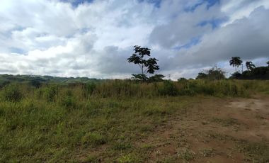 LOTE EN VENTA EN CERRITOS/PEREIRA