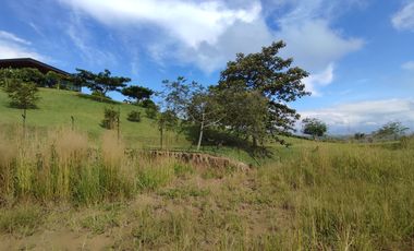 LOTE EN VENTA EN CERRITOS/PEREIRA