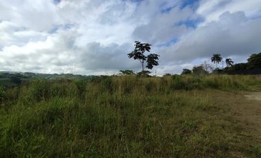 LOTE EN VENTA EN CERRITOS/PEREIRA