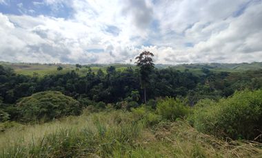 LOTE EN VENTA EN CERRITOS/PEREIRA