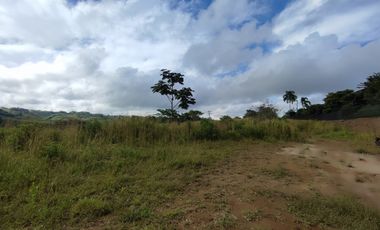 LOTE EN VENTA EN CERRITOS/PEREIRA