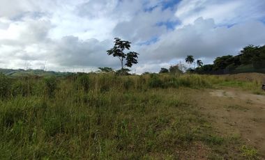 LOTE EN VENTA EN CERRITOS/PEREIRA