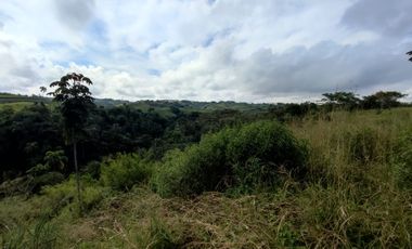 LOTE EN VENTA EN CERRITOS/PEREIRA