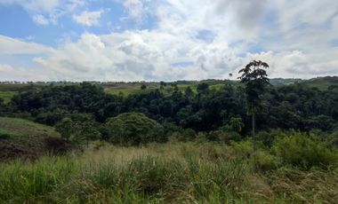 LOTE EN VENTA EN CERRITOS/PEREIRA