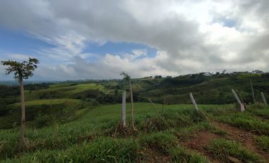 LOTE EN VENTA EN CERRITOS/PEREIRA