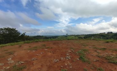 LOTE EN VENTA EN CERRITOS/PEREIRA