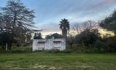 Venta Tres Terrenos en Oliveros