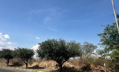 Se Renta Terreno Comercial