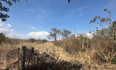 Se Renta Terreno Comercial