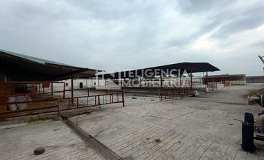 BODEGA EN RENTA UBICADA EN HUEXOTLA