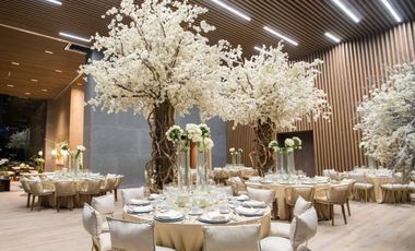 Departamento en Preventa en Fuentes del Pedregal en Tlalpan, Cdmx.