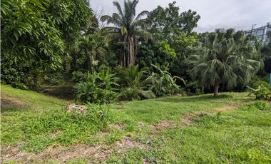 Terreno en venta de 3314 Mts2 en Vía Panamericana-La Chorrera (DR)