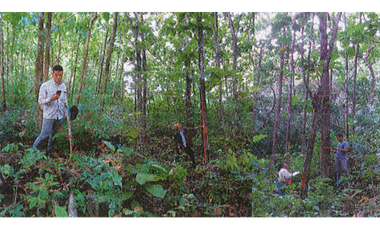 SE VENDE FINCA EN CHEPO - 7105RC