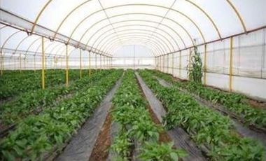 Hacienda en Venta en Acambay, Estado de México