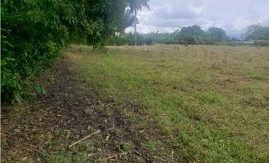 Venta Lote Tebaida Quindio - Colombia COD: 4851148