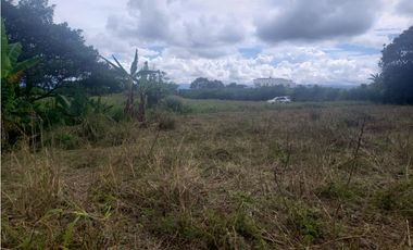 Venta Lote Tebaida Quindio - Colombia COD: 4851148