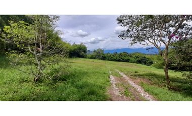 Venta Lote Tebaida Quindio - Colombia COD: 5182065