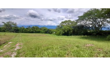 Venta Lote Tebaida Quindio - Colombia COD: 5182065