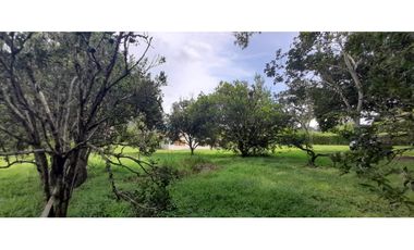 Venta Lote Tebaida Quindio - Colombia COD: 5182065