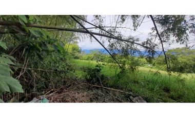 Venta Lote Tebaida Quindio - Colombia COD: 5182065