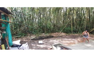 Venta Lote Tebaida Quindio - Colombia COD: 5182065