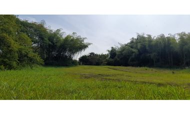 Venta Lote Tebaida Quindio - Colombia COD: 5182065