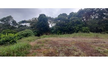 Venta Lote Circasia Quindio - Colombia COD: 5614841