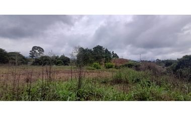 Venta Lote Circasia Quindio - Colombia COD: 5614841