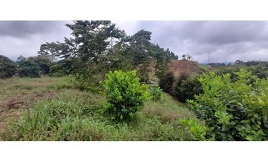 Venta Lote Circasia Quindio - Colombia COD: 5614841