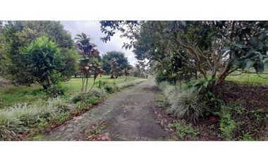 Venta Lote Circasia Quindio - Colombia COD: 5614841