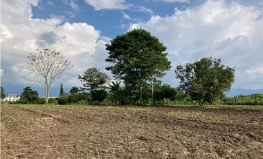 Venta Lote Tebaida Quindio - Colombia COD: 6204474