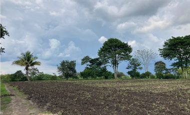 Venta Lote Tebaida Quindio - Colombia COD: 6204474