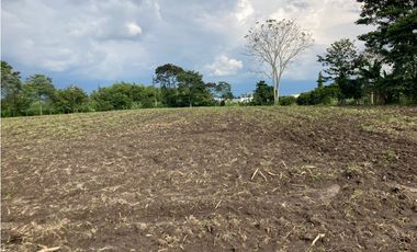 Venta Lote Tebaida Quindio - Colombia COD: 6204474