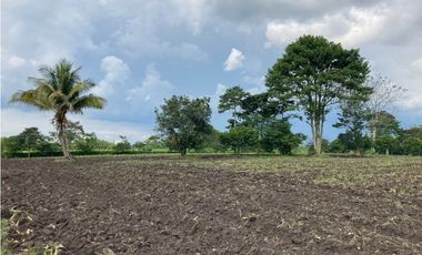 Venta Lote Tebaida Quindio - Colombia COD: 6204474
