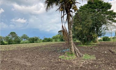 Venta Lote Tebaida Quindio - Colombia COD: 6204474