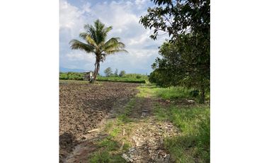 Venta Lote Tebaida Quindio - Colombia COD: 6204474