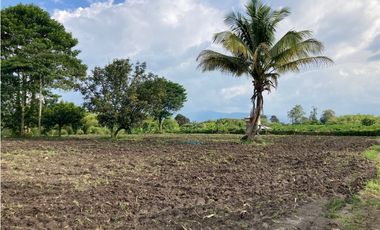 Venta Lote Tebaida Quindio - Colombia COD: 6204474