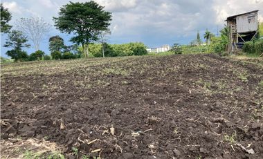 Venta Lote Tebaida Quindio - Colombia COD: 6204474