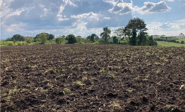 Venta Lote Tebaida Quindio - Colombia COD: 6204474