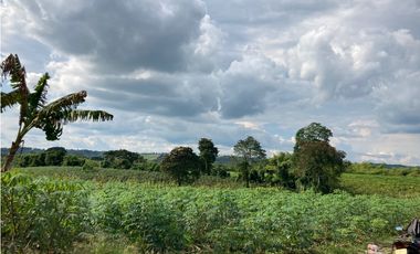 Venta Lote Tebaida Quindio - Colombia COD: 6204474
