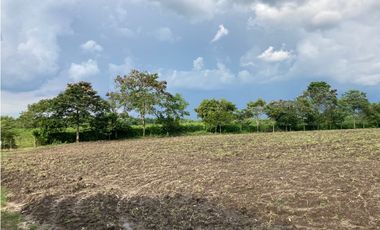 Venta Lote Tebaida Quindio - Colombia COD: 6204474