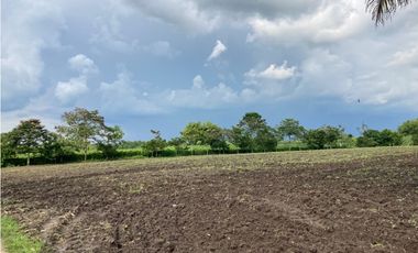 Venta Lote Tebaida Quindio - Colombia COD: 6204474