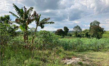 Venta Lote Tebaida Quindio - Colombia COD: 6204474