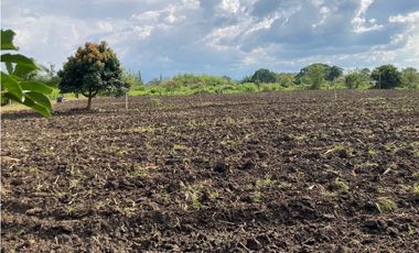 Venta Lote Tebaida Quindio - Colombia COD: 6204474